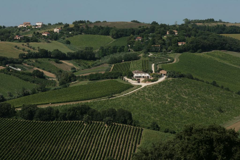 Agriturismo Le Vigne Del Conero Анкона Экстерьер фото
