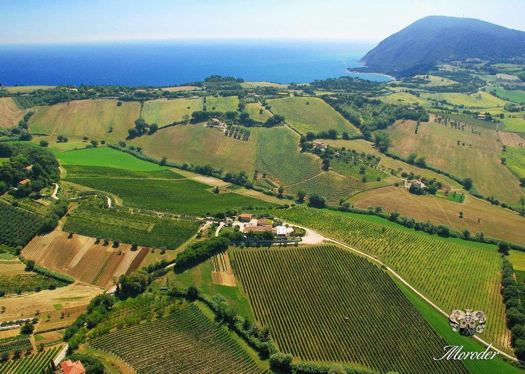 Agriturismo Le Vigne Del Conero Анкона Экстерьер фото