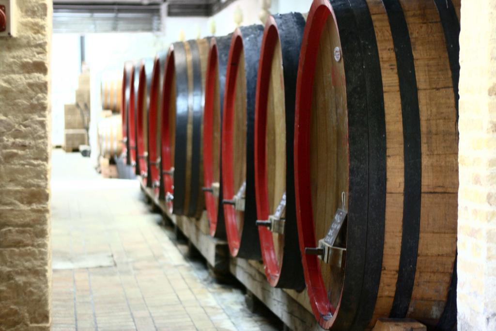 Agriturismo Le Vigne Del Conero Анкона Экстерьер фото